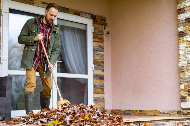 Basement Cleanout Services in Fordoche, LA